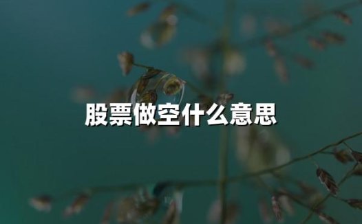 股票做空什么意思(2024年权威解答)