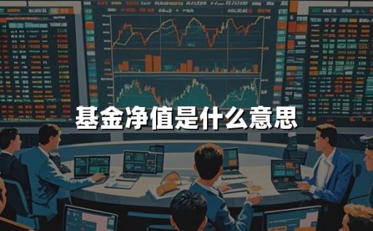 基金净值是什么意思(2025年基金净值详解,附案例)