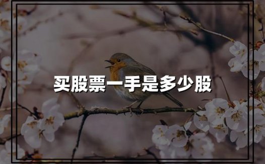 2024最新:股市交易"一手"到底是多少股?新手入市必读!