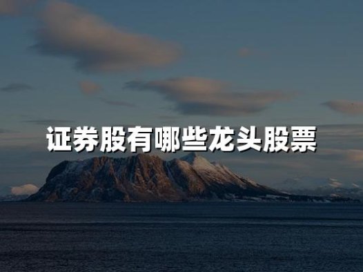 证券股有哪些龙头股票(2024十大证券龙头股票名单)