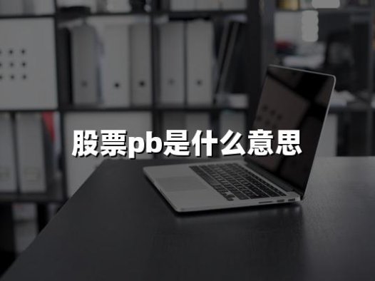 股票pb是什么意思(2024年通俗易懂解释股票PB)