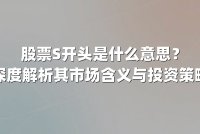 股票S开头是什么意思？深度解析其市场含义与投资策略
