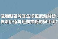 融通新蓝筹基金净值波动解析:长期价值与短期策略如何平衡?