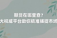 期货在哪里查？这五大权威平台助你精准捕捉市场脉搏