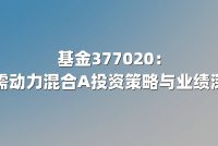 基金377020：摩根内需动力混合A投资策略与业绩深度解析
