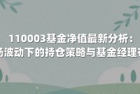 110003基金净值最新分析：市场波动下的持仓策略与基金经理布局