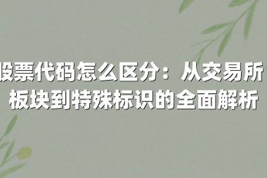股票代码怎么区分：从交易所、板块到特殊标识的全面解析