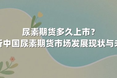 尿素期货多久上市？深度解析中国尿素期货市场发展现状与未来趋势