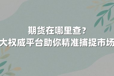 期货在哪里查？这五大权威平台助你精准捕捉市场脉搏