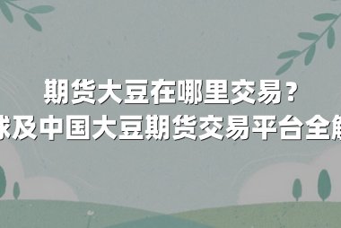 期货大豆在哪里交易？全球及中国大豆期货交易平台全解析