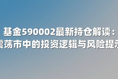 基金590002最新持仓解读：震荡市中的投资逻辑与风险提示
