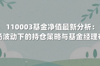 110003基金净值最新分析：市场波动下的持仓策略与基金经理布局