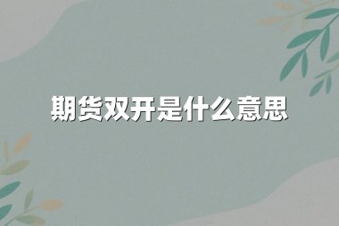 期货双开是什么意思