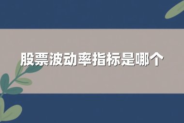 股票波动率指标是哪个
