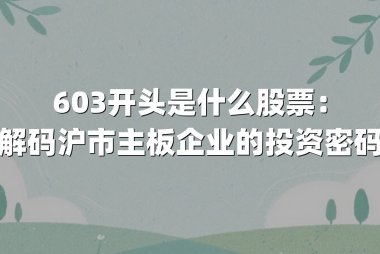 603开头是什么股票：解码沪市主板企业的投资密码