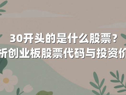 30开头的是什么股票？解析创业板股票代码与投资价值