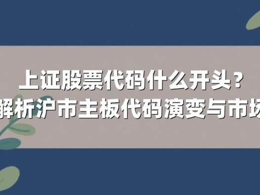 上证股票代码什么开头？深度解析沪市主板代码演变与市场格局