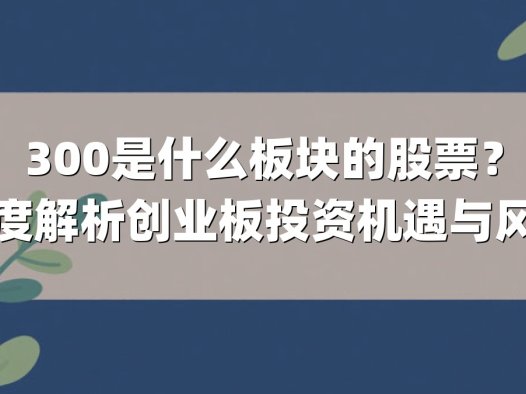 300是什么板块的股票？深度解析创业板投资机遇与风险