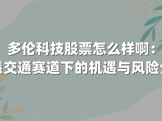 多伦科技股票怎么样啊：智慧交通赛道下的机遇与风险分析