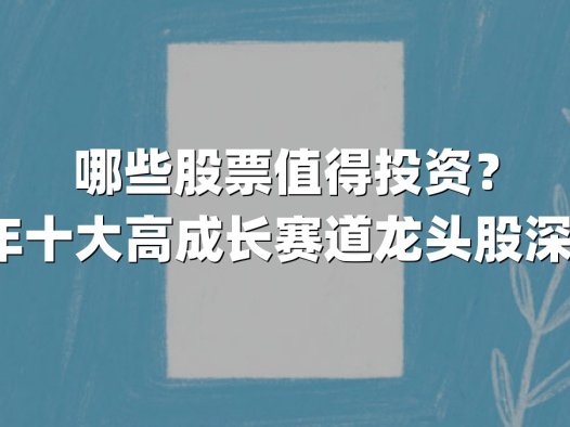 哪些股票值得投资?2025年十大高成长赛道龙头股深度解析