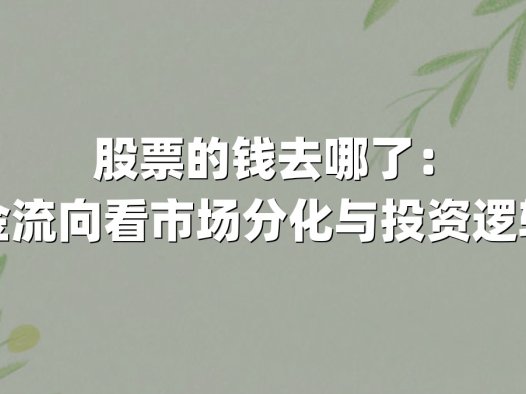股票的钱去哪了：从资金流向看市场分化与投资逻辑重塑