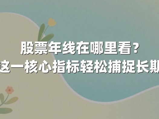 股票年线在哪里看？掌握这一核心指标轻松捕捉长期趋势