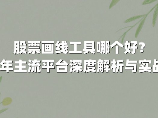 股票画线工具哪个好？2024年主流平台深度解析与实战指南