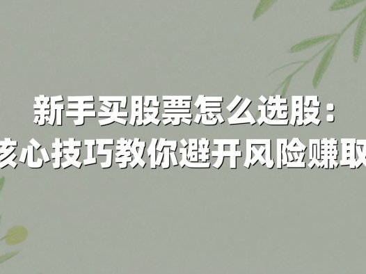新手买股票怎么选股:5大核心技巧教你避开风险赚取收益