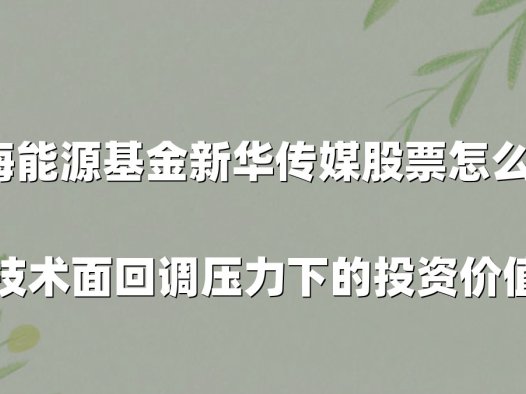中海能源基金新华传媒股票怎么样?当前技术面回调压力下的投资价值解析