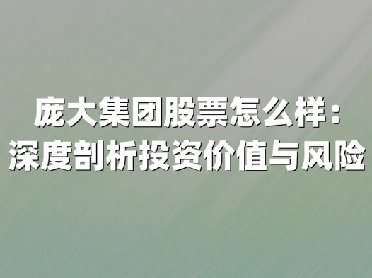 庞大集团股票怎么样:深度剖析投资价值与风险