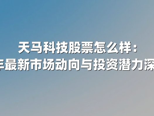 天马科技股票怎么样：2025年最新市场动向与投资潜力深度解析