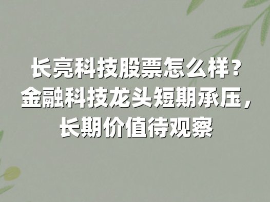 长亮科技股票怎么样？金融科技龙头短期承压，长期价值待观察