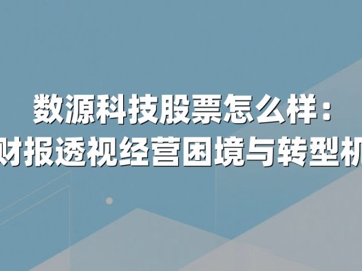 数源科技股票怎么样：从财报透视经营困境与转型机遇