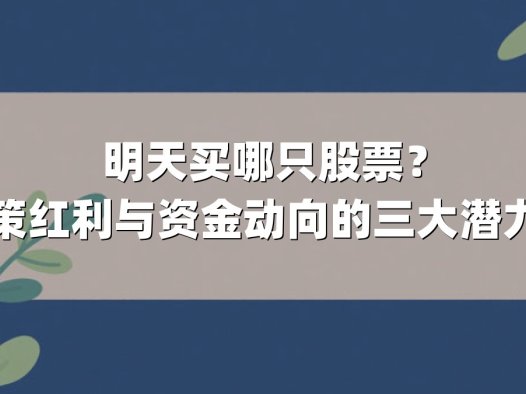 明天买哪只股票？聚焦政策红利与资金动向的三大潜力股解析