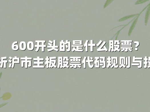 600开头的是什么股票？深度解析沪市主板股票代码规则与投资价值