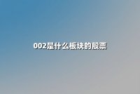 002是什么板块的股票(属于深市还是沪市)