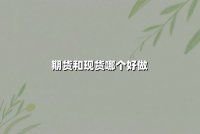 期货和现货哪个好做？从交易机制到风险收益的全方位解析