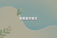 哪里能炒期货？权威平台选择指南与交易策略解析