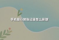 手机银行转账记录怎么删除？用户必知的真相与合规操作指南