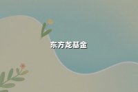 东方龙基金：深度解析核心资产配置与长期价值投资策略