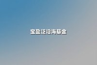 宝盈泛沿海基金：震荡市中的价值锚点与增长引擎