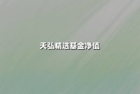 天弘精选基金净值解析：市场波动下的稳健布局与长期价值挖掘