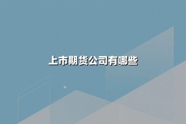 上市期货公司有哪些(排名前十的有哪些)？一文读懂行业概况与代表企业