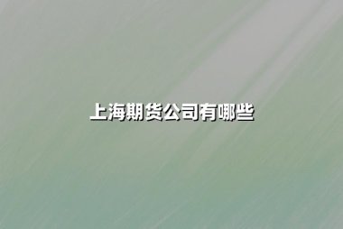上海期货公司有哪些？最新排名与权威推荐一览