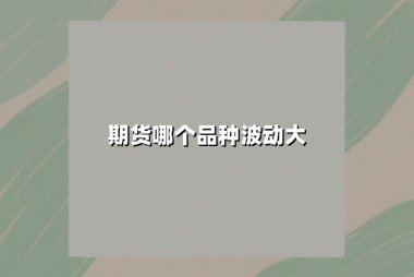 期货哪个品种波动大？2025年高波动性品种全解析