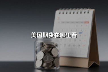 美国期货在哪里看：权威渠道与实战分析指南