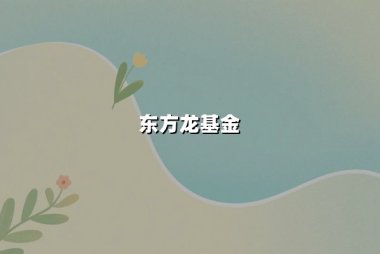 东方龙基金：深度解析核心资产配置与长期价值投资策略