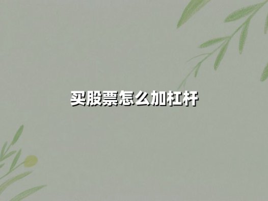 买股票怎么加杠杆(买股票怎么加杠杆怎么办理)