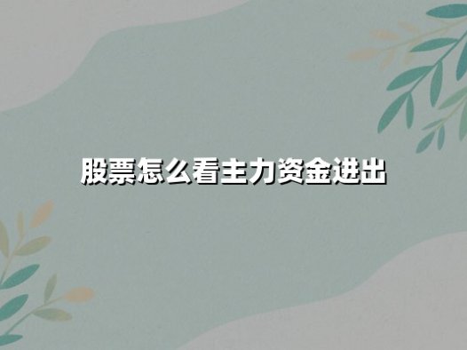 股票怎么看主力资金进出（主力资金监控指标哪个最实用）