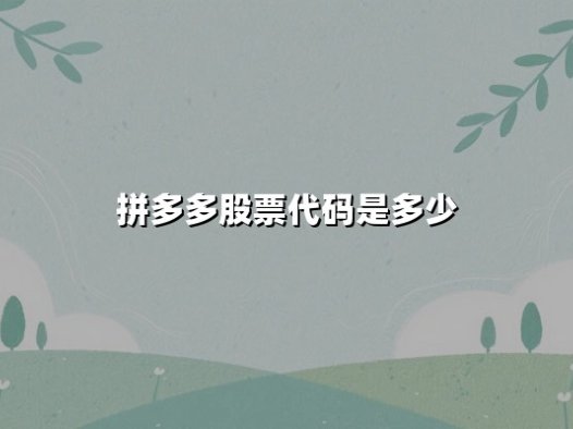 拼多多股票代码是多少？深度解析PDD投资价值与电商生态布局